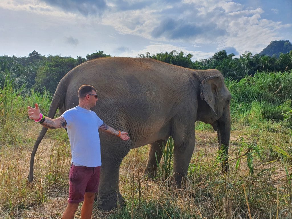 Sover Travel - A person with tattoos and wearing a white shirt and red shorts stands with arms outstretched next to a large elephant in a grassy field, under a partly cloudy sky. The background features trees and hills.