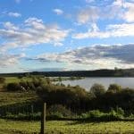 Sover Travel - A serene landscape with a grassy field leading to a large, calm lake under a partly cloudy blue sky. Trees dot the horizon and a fence runs along the foreground, illuminated by sunlight—an idyllic spot for YHA explorers to find tranquility amidst natures beauty.