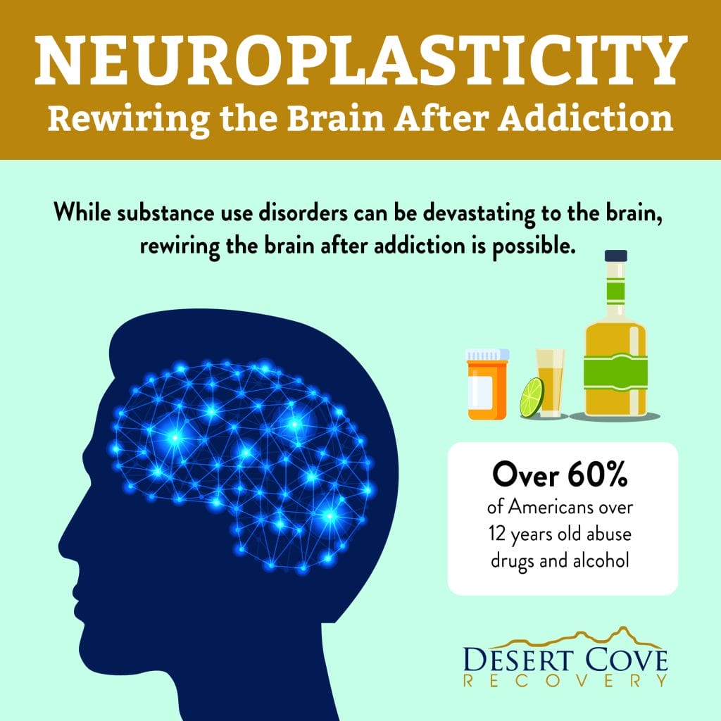 neuroplasticity and the sober brain how rewiring your mind unlocks lasting freedom and clarity