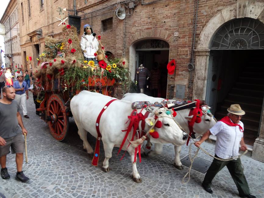 sober autumn harvest festivals in italy family friendly celebrations of tradition and community