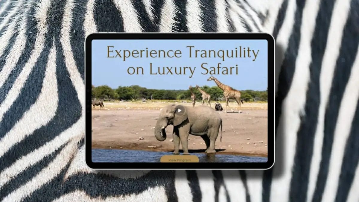 sober-travel-in-south-africa-safaris-culture-and-coastal-beauty-for-a-mindful-adventure