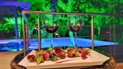 delicious-private-chef-experiences-for-the-alcohol-free-traveller-a-taste-of-culinary-bliss