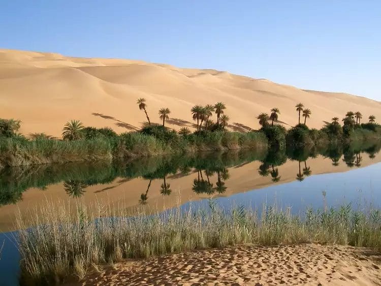 explore-benghazi-the-ultimate-sober-city-guide-for-travellers-in-libya