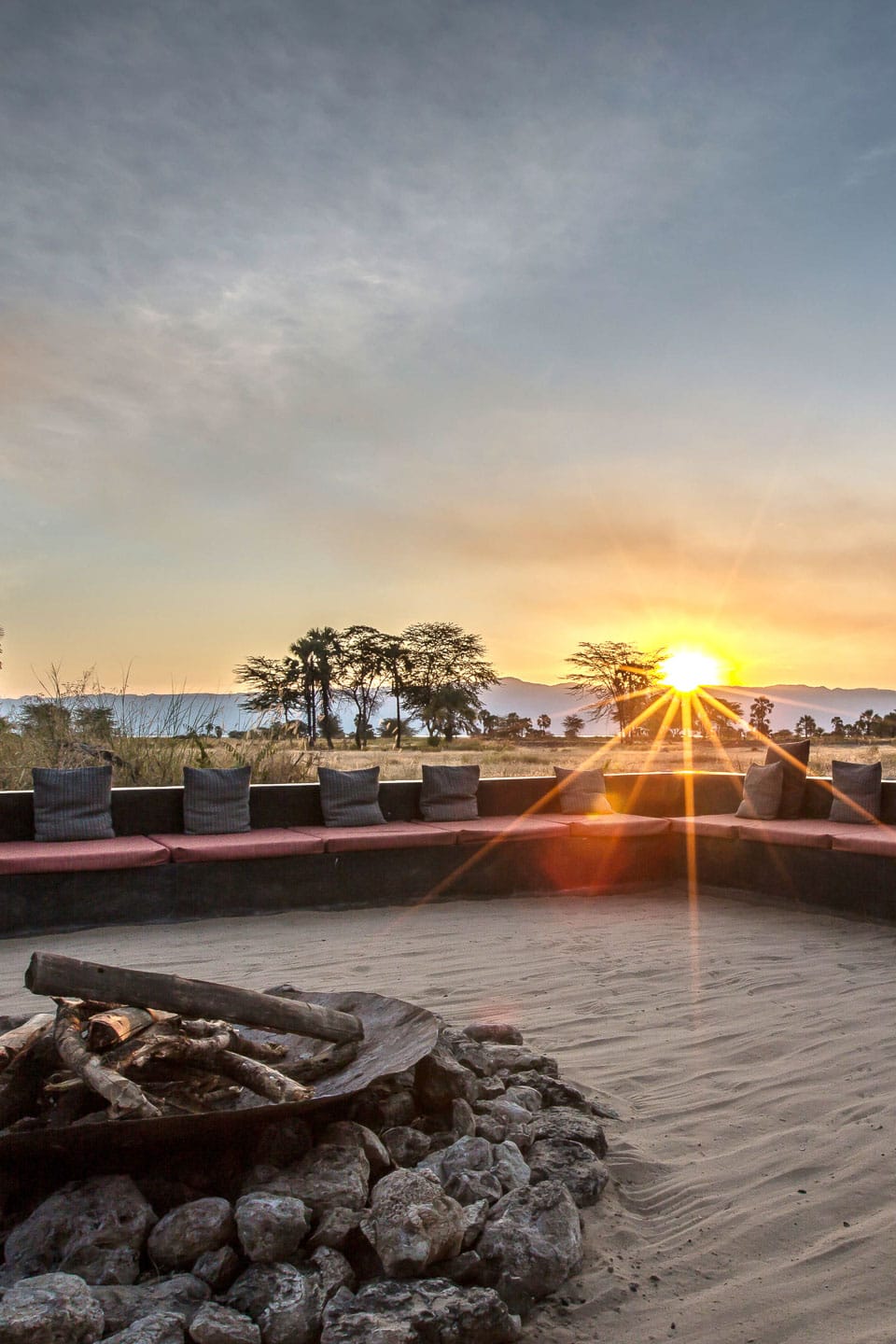 how-to-do-a-sober-safari-enjoy-wildlife-travel-without-the-sundowner-experience